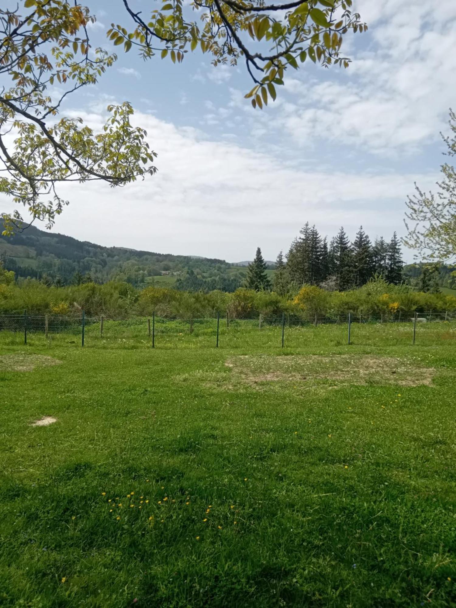 Le P'Tit Fermier Villa Cunlhat Dış mekan fotoğraf